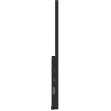MONITOR LCD 16" / PRO MP165 E6 MSI