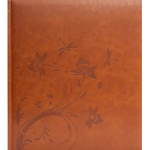 Albumas - Fandy DBCL30...