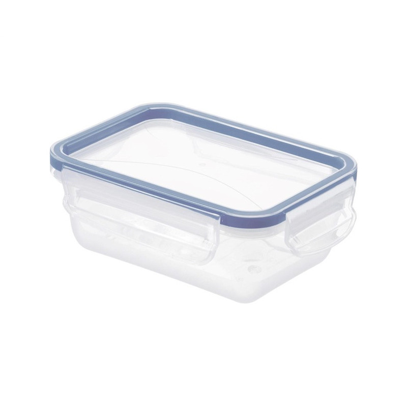 Food container Rotho, 0.5 l