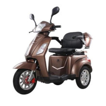 MOTOROLERIS ELEKTRINIS TRIRATIS 1000W