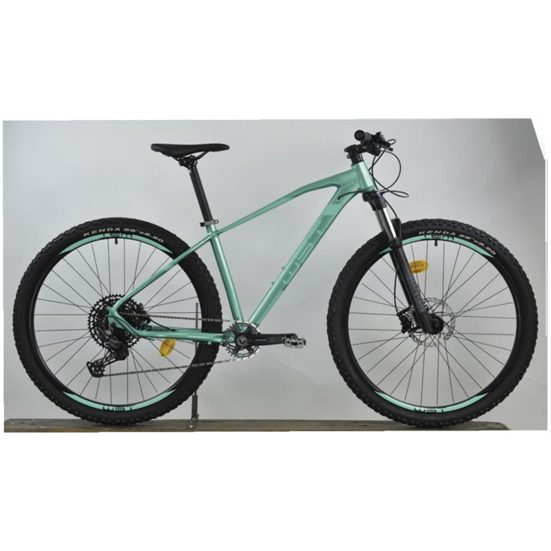 Dviratis kalnų, 29 ", 15" rėmas, žalia sp.