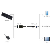 I / O ADAPTER USB2 TO USB-C OTG / A-OTG-CMAF2-01 GEMBIRD I / O ADAPTER USB2 TO USB-C OTG / A-OTG-CMAF2-01 GEMBIRD