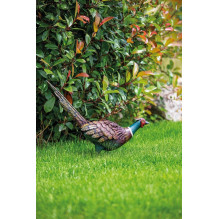 Garden decoration "Pheasant", 54 cm x 15 cm x 46 cm