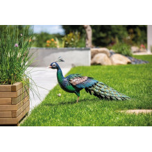 Garden decoration "Peacock", 94 cm x 28 cm x 52 cm Garden decoration "Peacock", 94 cm x 28 cm x 52 cm