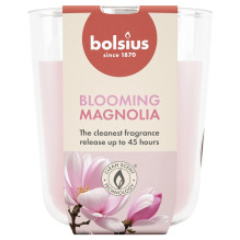 Žvakė, aromatinė Bolsius...