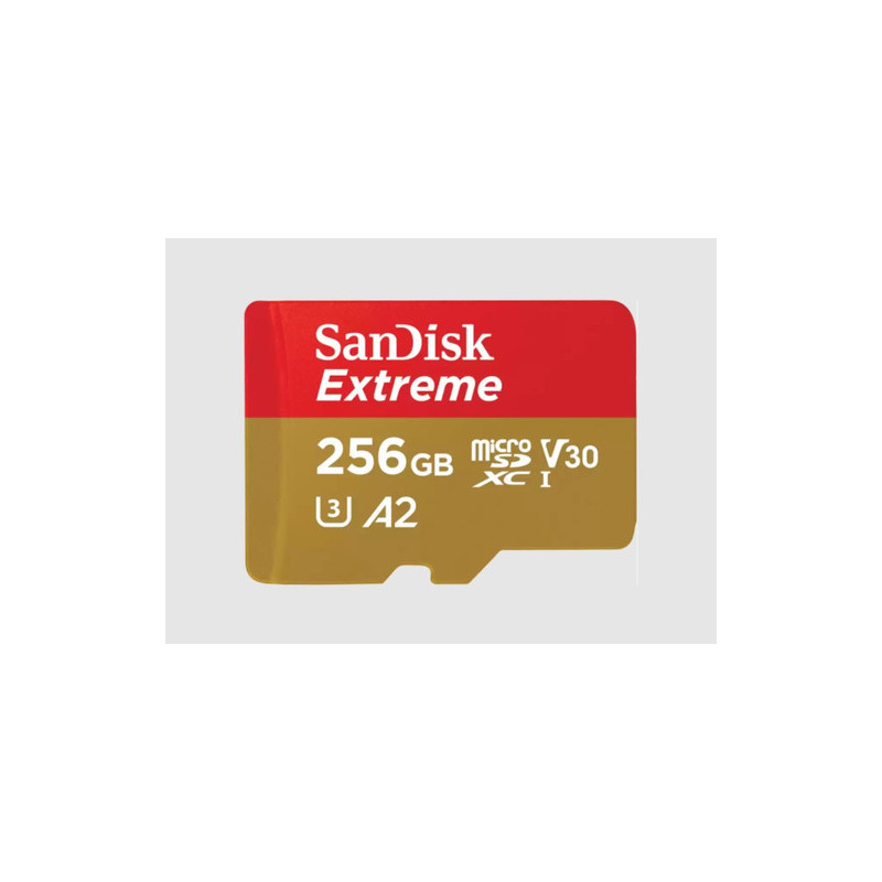 „SanDisk Extreme“ 256 GB „MicroSDXC UHS-I“ 10 klasės atmintis