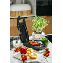 Namų ir Virtuvės Prietaisai - Adler AD 3066 Multifunction Grilling Appliance 750 W Juodas Namų ir Virtuvės Prietaisai - Adler AD 3066 Multifunction Grilling Appliance 750 W Juodas