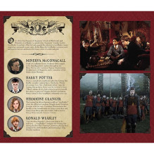 Kosmetinis defektas Harry Potter: Gryffindor Žurnalas kietu viršeliu Insight Editions