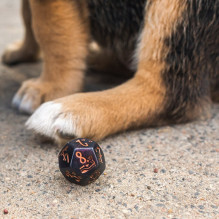 DOGS Dice Set: Luna kauliukų rinkinys DOGS Dice Set: Luna kauliukų rinkinys