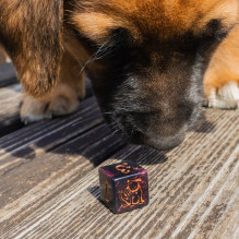 DOGS Dice Set: Luna kauliukų rinkinys DOGS Dice Set: Luna kauliukų rinkinys