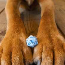 DOGS Dice Set: Max Dice Set