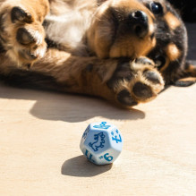 DOGS Dice Set: Max kauliukų rinkinys DOGS Dice Set: Max kauliukų rinkinys