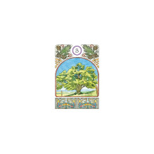 Art Nouveau Lenormand Kortos Lo Scarabeo Art Nouveau Lenormand Kortos Lo Scarabeo