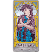 Lady Stirling's Wicked Garden orakulo kortų ir knygos rinkinys US Games Systems Lady Stirling's Wicked Garden orakulo kortų ir knygos rinkinys US Games Systems