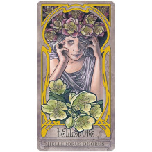 Lady Stirling's Wicked Garden orakulo kortų ir knygos rinkinys US Games Systems Lady Stirling's Wicked Garden orakulo kortų ir knygos rinkinys US Games Systems