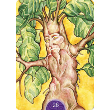 Wicca Oracle Kortos Lo Scarabeo Wicca Oracle Kortos Lo Scarabeo