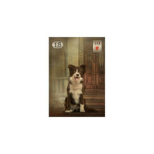 Thelema Lenormand kortos Lo Scarabeo Thelema Lenormand kortos Lo Scarabeo