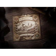 Harry Potter dėlionė 1000 detalių Theory11