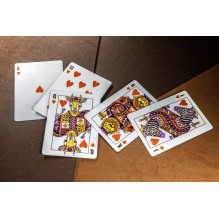 Animal Kingdom Theory11 Cards Animal Kingdom Theory11 Cards