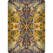 Portraits of a Woman Aspects of a Goddess kortos Lo Scarabeo Portraits of a Woman Aspects of a Goddess kortos Lo Scarabeo