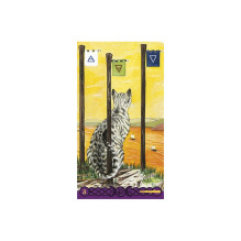Tarot Of Pagan Cats kortos Lo Scarabeo Tarot Of Pagan Cats kortos Lo Scarabeo