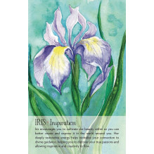 Soulflower Plant Spirit Oracle kortos Findhorn Press Soulflower Plant Spirit Oracle kortos Findhorn Press