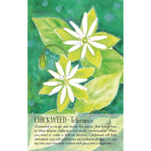 Soulflower Plant Spirit Oracle kortos Findhorn Press Soulflower Plant Spirit Oracle kortos Findhorn Press