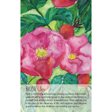 Soulflower Plant Spirit Oracle kortos Findhorn Press Soulflower Plant Spirit Oracle kortos Findhorn Press
