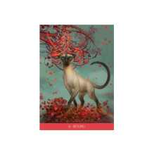 Barbieri Fantasy Cats Oracle kortos Lo Scarabeo Barbieri Fantasy Cats Oracle kortos Lo Scarabeo