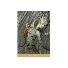 Barbieri Fantasy Cats Oracle kortos Lo Scarabeo Barbieri Fantasy Cats Oracle kortos Lo Scarabeo
