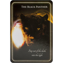 Animal Whispers Empowerment kortos Findhorn Press Animal Whispers Empowerment kortos Findhorn Press