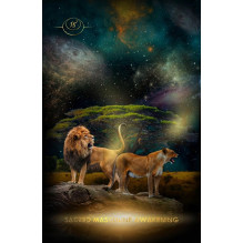 Creatrix Awakened Oracle kortos Muse Oracle Press Creatrix Awakened Oracle kortos Muse Oracle Press