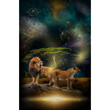 Creatrix Awakened Oracle kortos Muse Oracle Press Creatrix Awakened Oracle kortos Muse Oracle Press