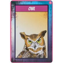 Shamanic Power Animal Oracle kortos Findhorn Press Shamanic Power Animal Oracle kortos Findhorn Press