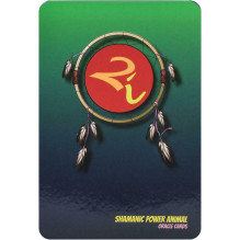 Shamanic Power Animal Oracle kortos Findhorn Press Shamanic Power Animal Oracle kortos Findhorn Press