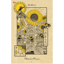 The Magickal Botanical Oracle kortos Lo Scarabeo The Magickal Botanical Oracle kortos Lo Scarabeo