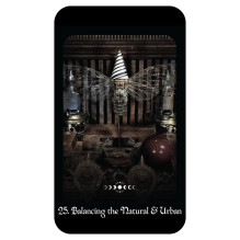 Gothic Witch's Oracle kortos Muse Oracle Press Gothic Witch's Oracle kortos Muse Oracle Press