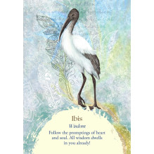 Oracle of the Birds kortos Findhorn Press Oracle of the Birds kortos Findhorn Press