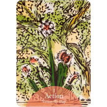 The Language of Flowers Oracle kortos Rockpool The Language of Flowers Oracle kortos Rockpool