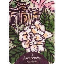 The Language of Flowers Oracle kortos Rockpool The Language of Flowers Oracle kortos Rockpool