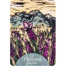 The Language of Flowers Oracle kortos Rockpool The Language of Flowers Oracle kortos Rockpool