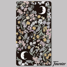 Tarot De Carlotydes taro kortos Fournier Tarot De Carlotydes taro kortos Fournier