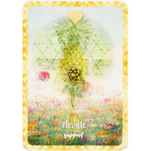 Self Love Oracle kortos Rock Pool