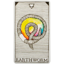 The Wild Unknown Animal Spirit Oracle kortų ir knygos rinkinys Harper One The Wild Unknown Animal Spirit Oracle kortų ir knygos rinkinys Harper One
