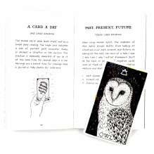 The Wild Unknown Animal Spirit Oracle kortų ir knygos rinkinys Harper One The Wild Unknown Animal Spirit Oracle kortų ir knygos rinkinys Harper One