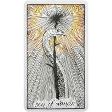 Kosmetinis defektas The Wild Unknown Tarot kortos Harper One Kosmetinis defektas The Wild Unknown Tarot kortos Harper One