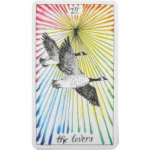 Kosmetinis defektas The Wild Unknown Tarot kortos Harper One Kosmetinis defektas The Wild Unknown Tarot kortos Harper One