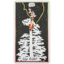 Kosmetinis defektas The Wild Unknown Tarot kortos Harper One Kosmetinis defektas The Wild Unknown Tarot kortos Harper One