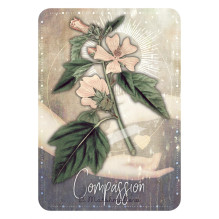 Magickal Herb Oracle kortos Rockpool Magickal Herb Oracle kortos Rockpool
