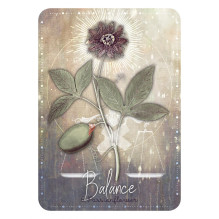 Magickal Herb Oracle kortos Rockpool Magickal Herb Oracle kortos Rockpool